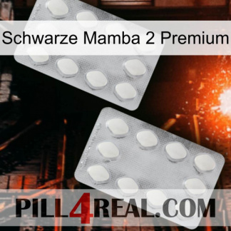 Black Mamba 2 Premium 17